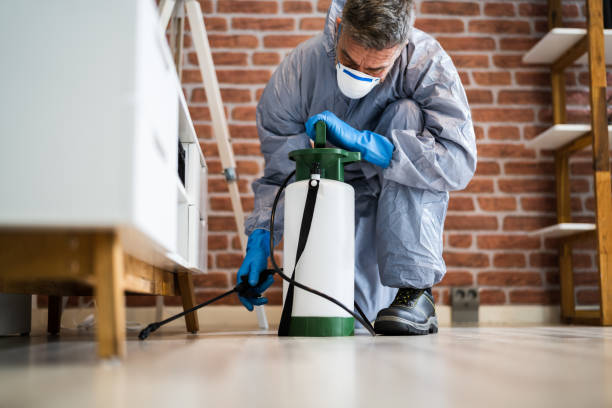 Real Estate Pest Inspections in Chilton, WI